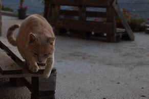 Maison de la Vallee Private Guest House Great View