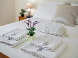 Solar House Babina 2