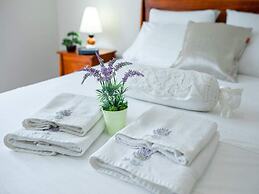 Solar House Babina 1