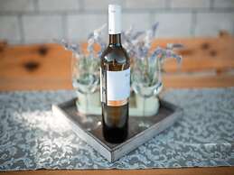 Solar House Babina 1