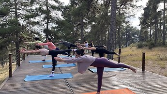 Hukoy Doga Oteli - Bungalov