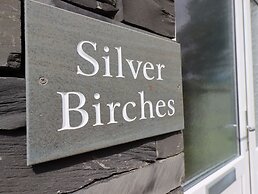 Silver Birches