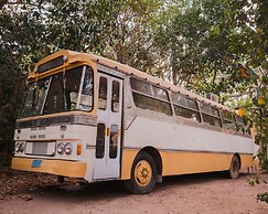 Selina Magnetic Island