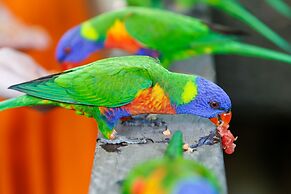 Bounce Magnetic Island