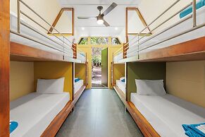 Bounce Magnetic Island