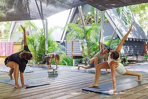 Bounce Magnetic Island