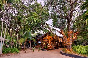 Bounce Magnetic Island