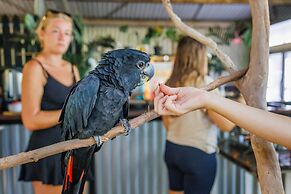 Bounce Magnetic Island