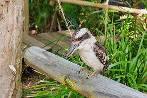 Bounce Magnetic Island