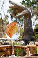 BH HOTEL & CENOTE TULUM - Adults Only