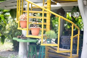 Madre Selva Jungle Hostel