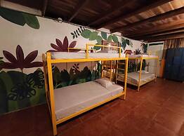 Madre Selva Jungle Hostel