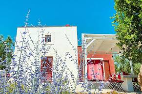 TD Lamia Porta Rossa Countryside w Olive Trees