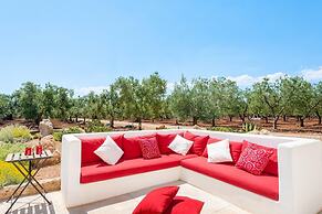 TD Lamia Porta Rossa Countryside w Olive Trees