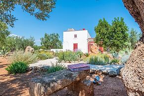 TD Lamia Porta Rossa Countryside w Olive Trees
