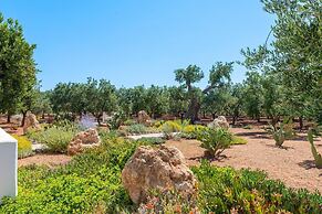 TD Lamia Porta Rossa Countryside w Olive Trees
