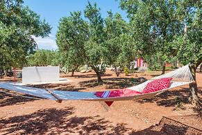 TD Lamia Porta Rossa Countryside w Olive Trees