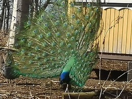 The Parrot Hotel Live Rescue Animal Park Naestved