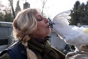 The Parrot Hotel Live Rescue Animal Park Naestved