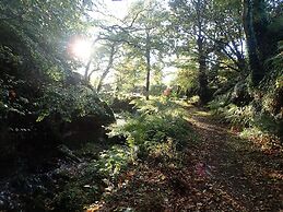Beautiful 15th Century Watermill - Lovely Location
