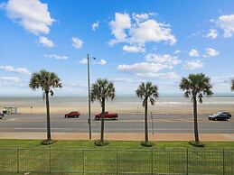 4511dawn223tdnc - Dawn 223- Buena Vista