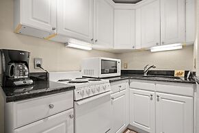 The Palms of Madeira