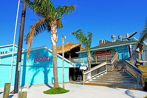 4513thewoodenfinnh - The Wooden Fin