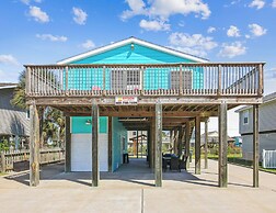 4513thewoodenfinnh - The Wooden Fin