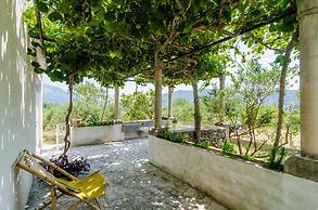 Holiday Home Field of Olives