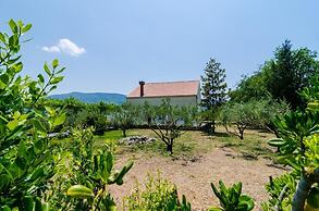 Holiday Home Field of Olives