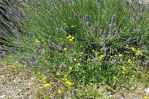 Summer Sale! Lovely 3-bed Apartment in Spoleto