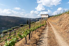 Feel Discovery Alvim's Douro