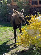 Arapaho Valley Ranch