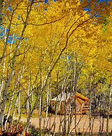 Arapaho Valley Ranch