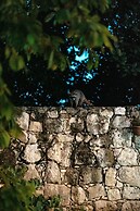 Xiknal Cozumel