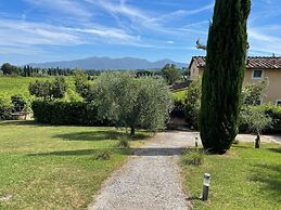 Donato Farmhouse Apartment With Pool