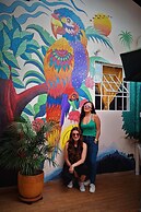 HOSTAL COLOMBIAN GOLD