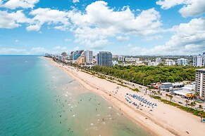 Purple Pelican by Opus (Suite 1)