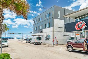 Purple Pelican by Opus (Suite 1)