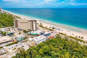 Purple Pelican by Opus (Suite 1)