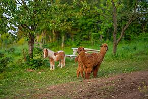 Alya Kartepe Villa Hotel