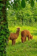 Alya Kartepe Villa Hotel