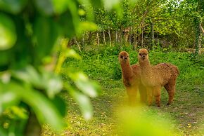 Alya Kartepe Villa Hotel