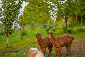 Alya Kartepe Villa Hotel