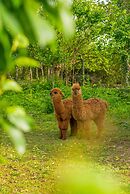 Alya Kartepe Villa Hotel