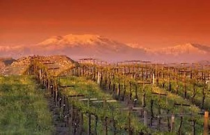 Fire Vinyasa View Fire Pit Poolpets Allowed