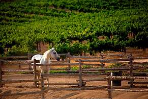 air Vinyasa Wineries Fire Pit Pool