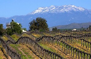 Love In The Cloudspool Fire Pit View