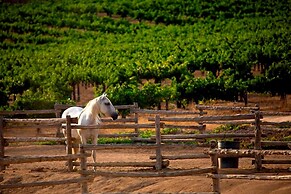 Love In The Cloudspool Fire Pit View