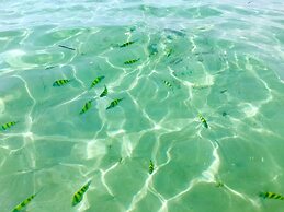 Stylish 3br Pool Villa Walk to Beautiful Naiyang Beach